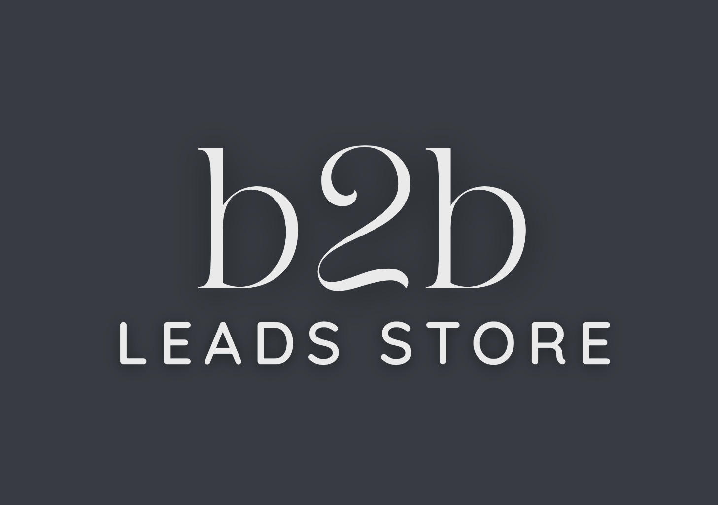 B2B Leads Store Logo